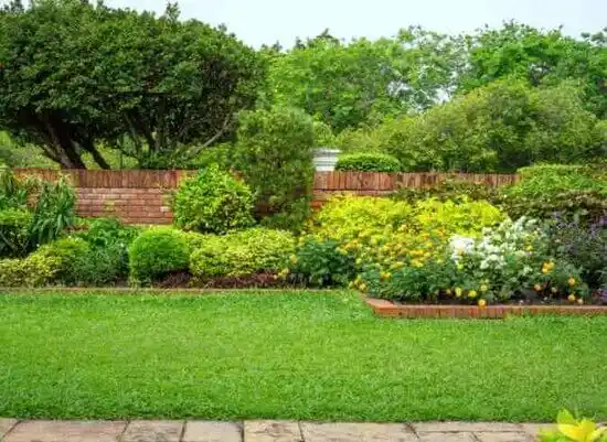 landscaping services Mountain Grove